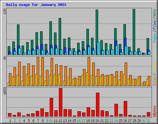Daily usage for January 2021