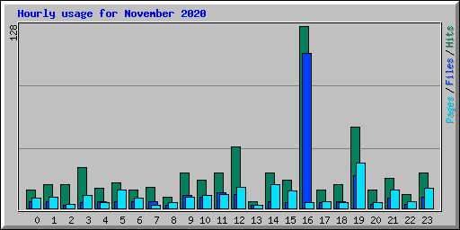 Hourly usage for November 2020