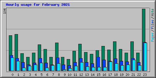Hourly usage for February 2021
